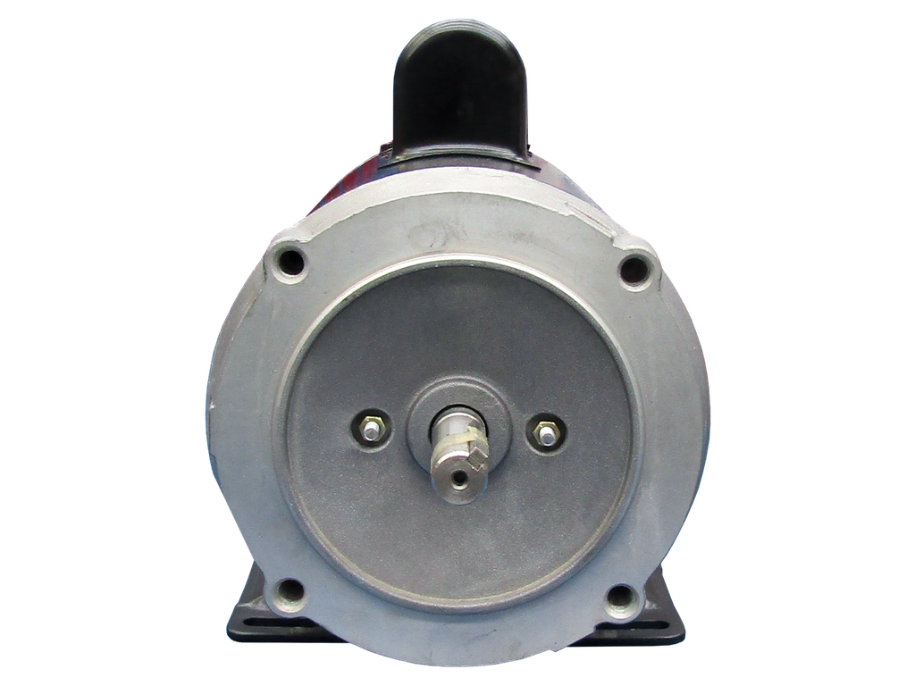 MOTOR ELECTRICO WEG NO01180S1PA56C (3)