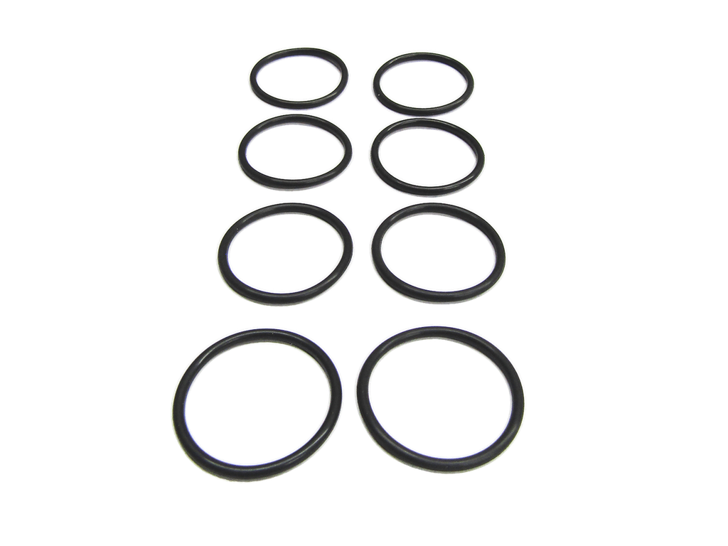 DICHTOMATIK O-RING FKM75 V75124 (2)