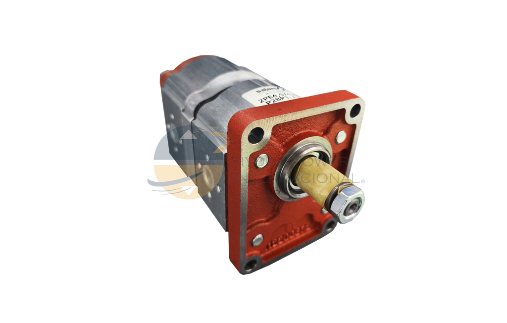 BOMBA DE ENGRANES SALAMI 2PE4,54,5D-P28P1-A.S