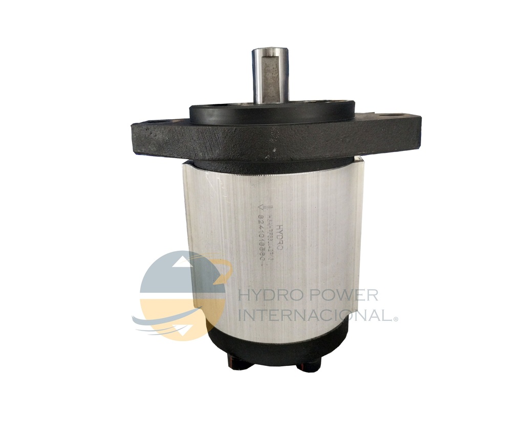 [3054] BOMBA DE ENGRANES