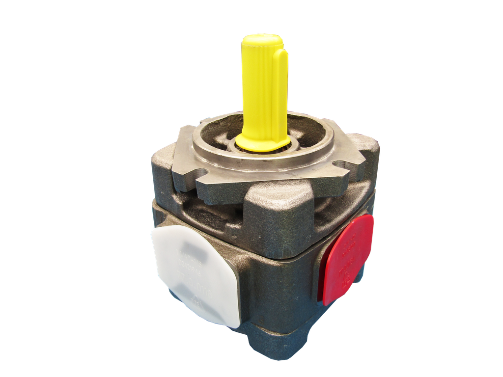 [21456] BOMBA DE ENGRANES