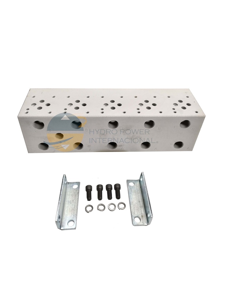 [23255] BLOCK MANIFOLD