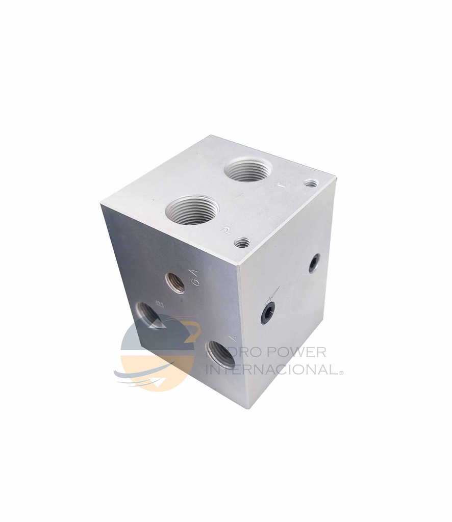 [23256] BLOCK MANIFOLD